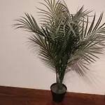 3 Floor Xxl House, 7 Rooms, 2 Kitchen, 15 Minutes To Frankfurt, Washing Machine דירה *