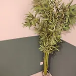 דירה 3 Floor Xxl House, 7 Rooms, 2 Kitchen, 15 Minutes To Frankfurt, Washing Machine קלקהיים