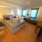 3 Floor Xxl House, 7 Rooms, 2 Kitchen, 15 Minutes To Frankfurt, Washing Machine דירה קלקהיים