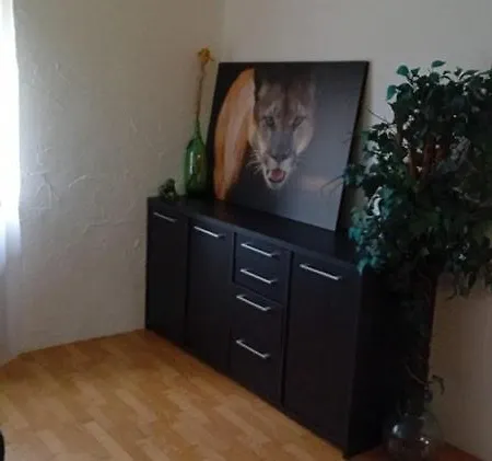 3 Floor Xxl House, 7 Rooms, 2 Kitchen, 15 Minutes To Frankfurt, Washing Machine Келькхайм