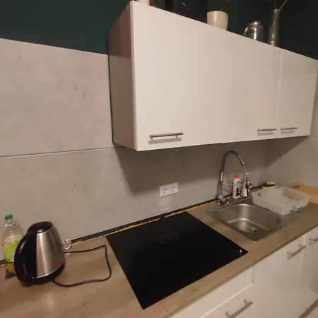 3 Floor Xxl House, 7 Rooms, 2 Kitchen, 15 Minutes To Frankfurt, Washing Machine * Kelkheim
