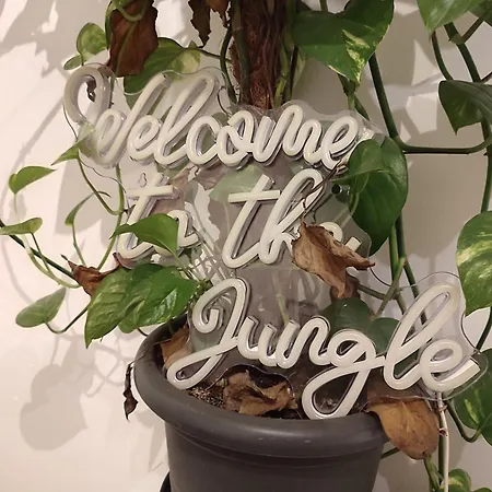 3 Floor Xxl House, 7 Rooms, 2 Kitchen, 15 Minutes To Frankfurt, Washing Machine Apartment *