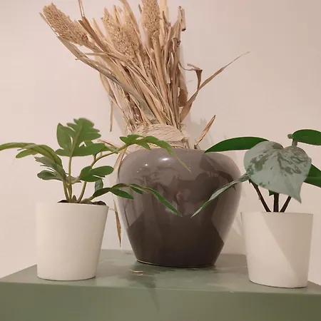 Apartment 3 Floor Xxl House, 7 Rooms, 2 Kitchen, 15 Minutes To Frankfurt, Washing Machine *