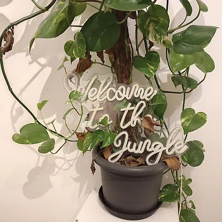 3 Floor Xxl House, 7 Rooms, 2 Kitchen, 15 Minutes To Frankfurt, Washing Machine * Келькхайм