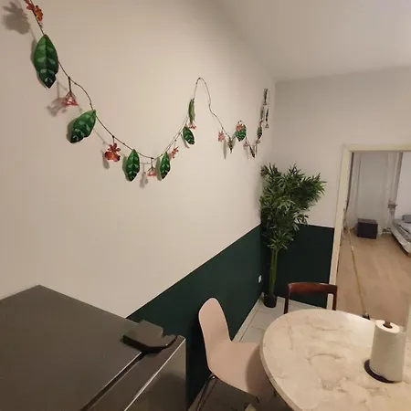 3 Floor Xxl House, 7 Rooms, 2 Kitchen, 15 Minutes To Frankfurt, Washing Machine