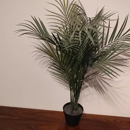 3 Floor Xxl House, 7 Rooms, 2 Kitchen, 15 Minutes To Frankfurt, Washing Machine Apartamento *