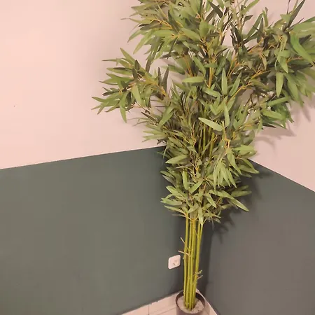 Apartamento 3 Floor Xxl House, 7 Rooms, 2 Kitchen, 15 Minutes To Frankfurt, Washing Machine Kelkheim