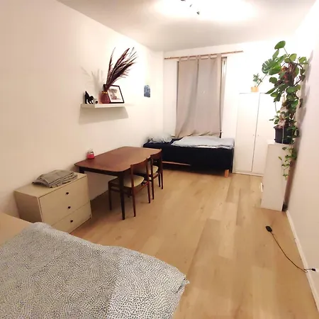 3 Floor Xxl House, 7 Rooms, 2 Kitchen, 15 Minutes To Frankfurt, Washing Machine * Kelkheim