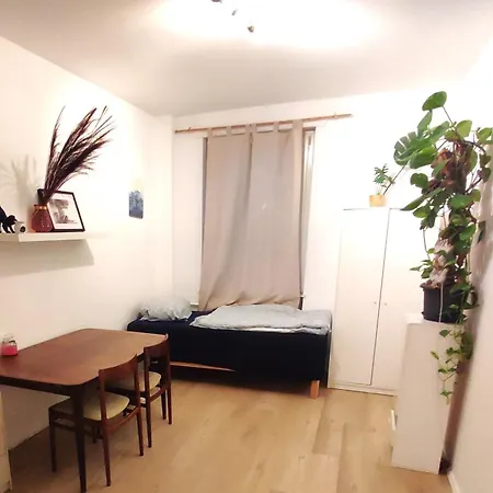 3 Floor Xxl House, 7 Rooms, 2 Kitchen, 15 Minutes To Frankfurt, Washing Machine