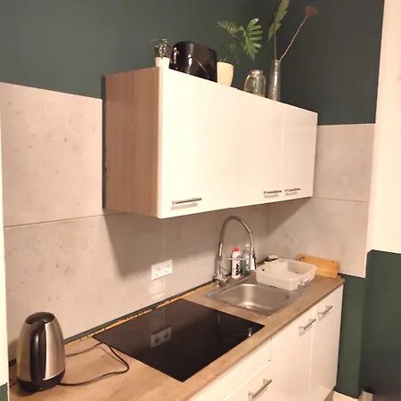 Appartement 3 Floor Xxl House, 7 Rooms, 2 Kitchen, 15 Minutes To Frankfurt, Washing Machine