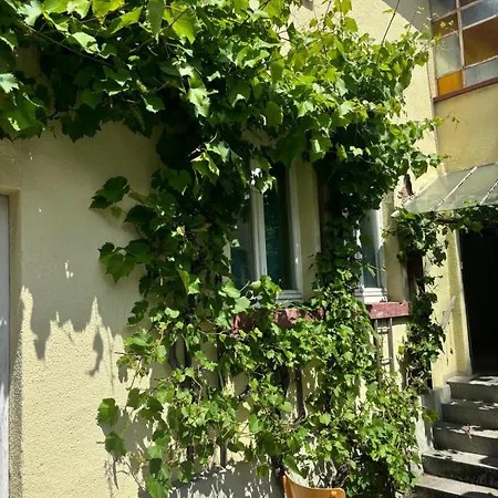 3 Floor Xxl House, 7 Rooms, 2 Kitchen, 15 Minutes To Frankfurt, Washing Machine