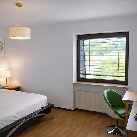 3 Floor Xxl House, 7 Rooms, 2 Kitchen, 15 Minutes To Frankfurt, Washing Machine *