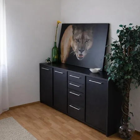 3 Floor Xxl House, 7 Rooms, 2 Kitchen, 15 Minutes To Frankfurt, Washing Machine *