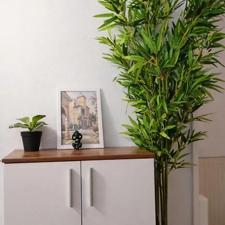 Apartamento 3 Floor Xxl House, 7 Rooms, 2 Kitchen, 15 Minutes To Frankfurt, Washing Machine Kelkheim