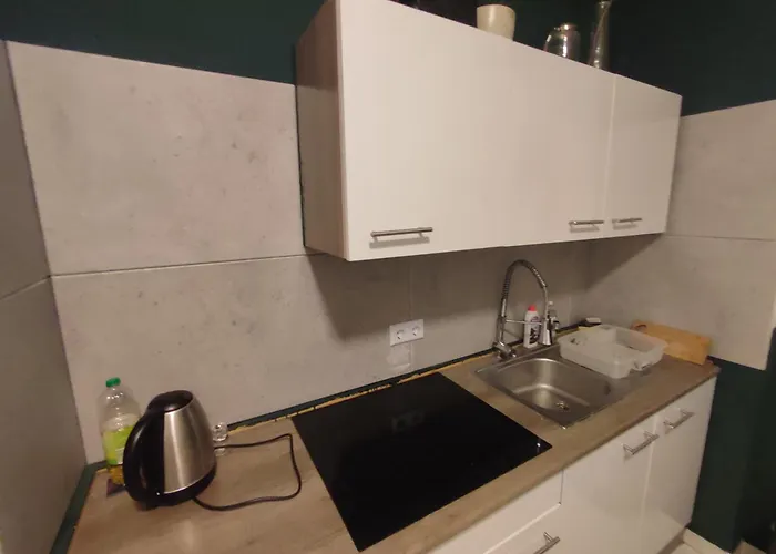 3 Floor Xxl House, 7 Rooms, 2 Kitchen, 15 Minutes To Frankfurt, Washing Machine * Kelkheim