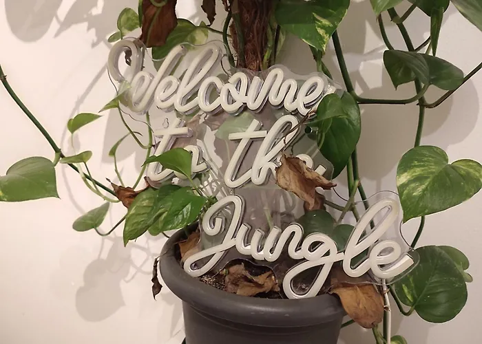 3 Floor Xxl House, 7 Rooms, 2 Kitchen, 15 Minutes To Frankfurt, Washing Machine Apartamento *