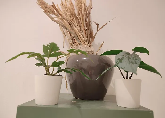 Apartamento 3 Floor Xxl House, 7 Rooms, 2 Kitchen, 15 Minutes To Frankfurt, Washing Machine *