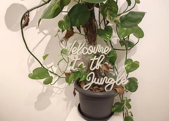 3 Floor Xxl House, 7 Rooms, 2 Kitchen, 15 Minutes To Frankfurt, Washing Machine * Kelkheim