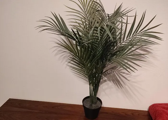 3 Floor Xxl House, 7 Rooms, 2 Kitchen, 15 Minutes To Frankfurt, Washing Machine Apartamento *