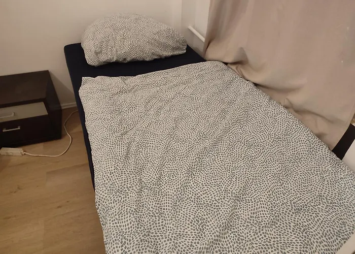 Apartamento 3 Floor Xxl House, 7 Rooms, 2 Kitchen, 15 Minutes To Frankfurt, Washing Machine