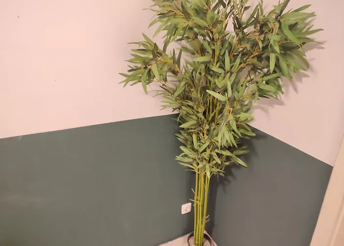 Apartamento 3 Floor Xxl House, 7 Rooms, 2 Kitchen, 15 Minutes To Frankfurt, Washing Machine Kelkheim