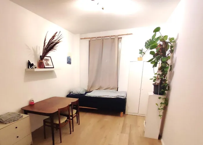 3 Floor Xxl House, 7 Rooms, 2 Kitchen, 15 Minutes To Frankfurt, Washing Machine