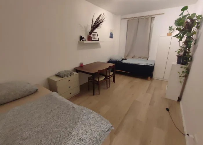 3 Floor Xxl House, 7 Rooms, 2 Kitchen, 15 Minutes To Frankfurt, Washing Machine Apartamento