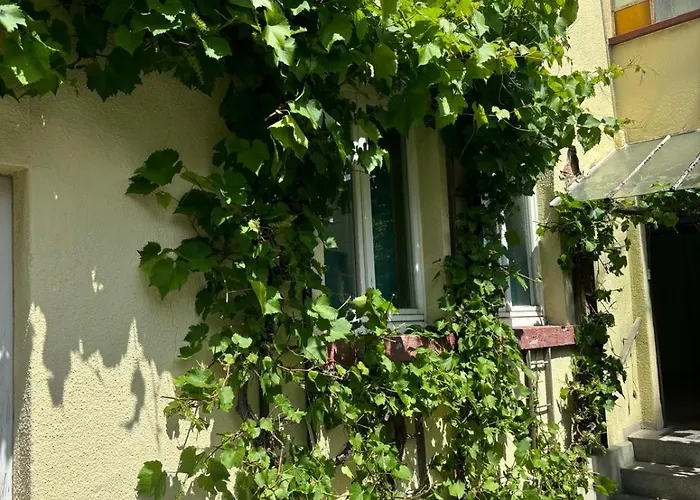 3 Floor Xxl House, 7 Rooms, 2 Kitchen, 15 Minutes To Frankfurt, Washing Machine