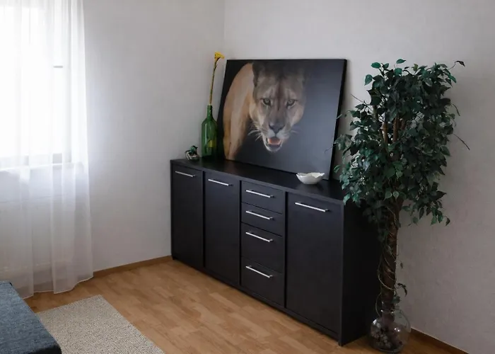 3 Floor Xxl House, 7 Rooms, 2 Kitchen, 15 Minutes To Frankfurt, Washing Machine *