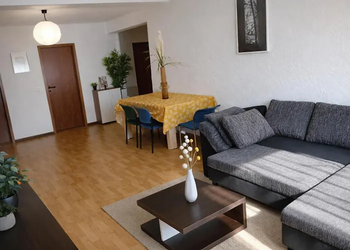 3 Floor Xxl House, 7 Rooms, 2 Kitchen, 15 Minutes To Frankfurt, Washing Machine *